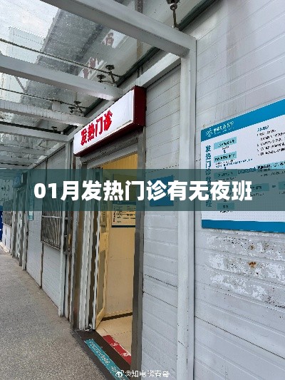 一月发热门诊夜班情况解析