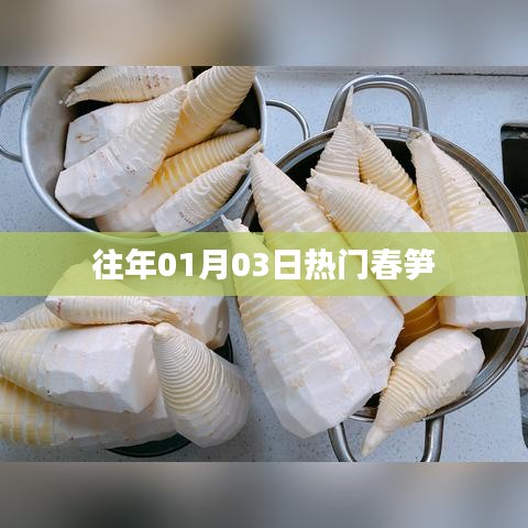 往年元旦后春笋大热，热门趋势解析