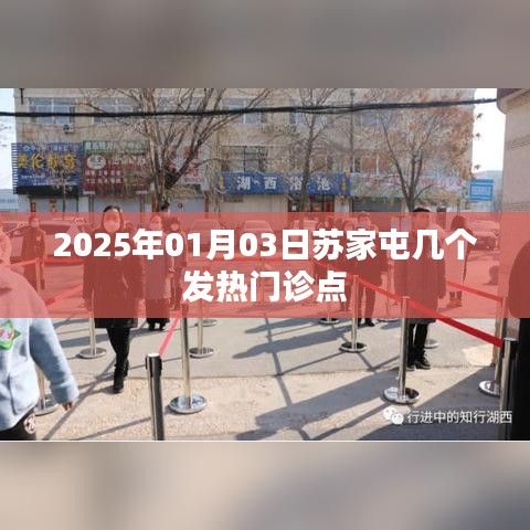 苏家屯发热门诊点信息，最新动态及查询