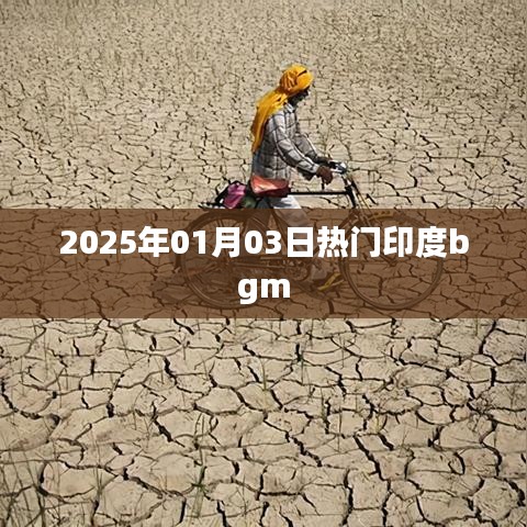 印度流行背景音乐盘点，2025年元旦热门bgm推荐