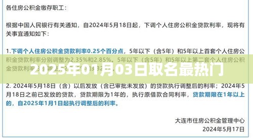 2025年最热门取名趋势分析