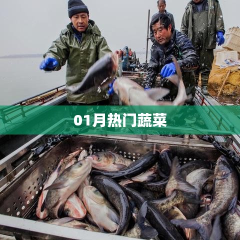 精选蔬菜榜单，一月热门蔬菜推荐