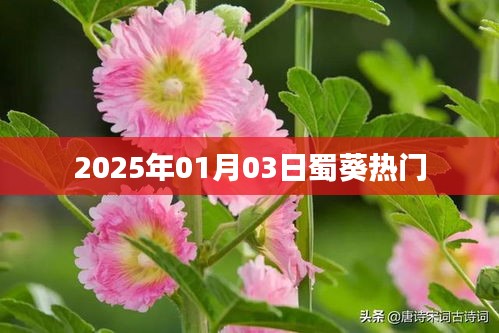文贵天成