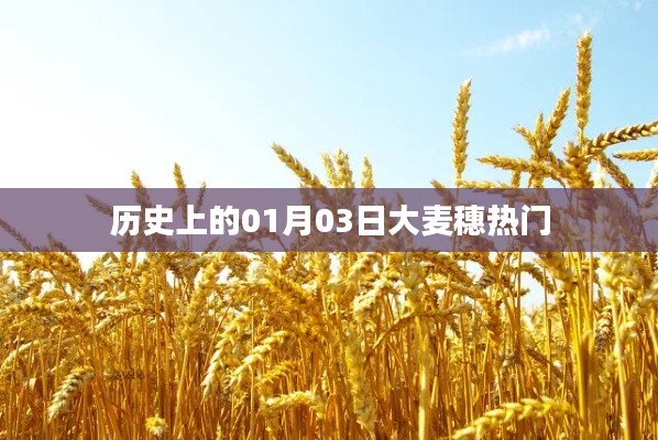 历史上的大麦穗时刻，一月三日回顾与展望