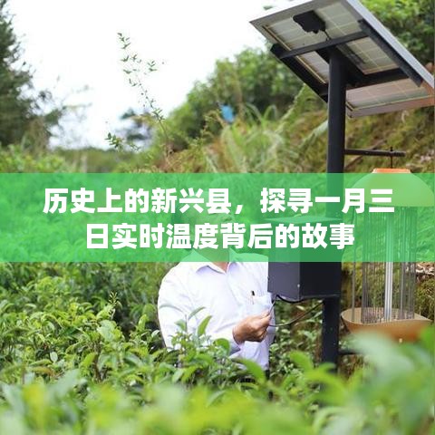 探寻新兴县一月三日实时温度背后的历史印记