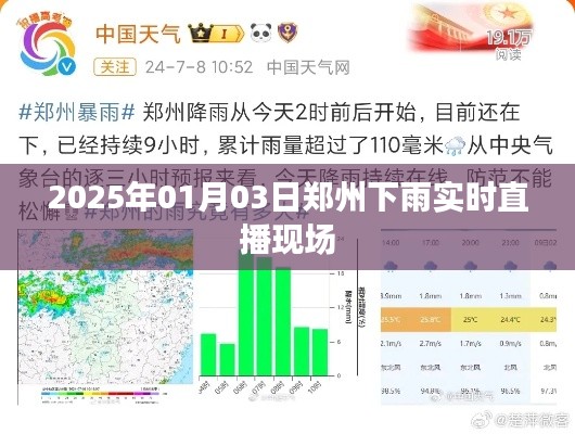郑州下雨实况直播，2025年1月3日降雨现场观察