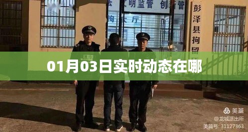 最新实时动态，01月03日资讯一览
