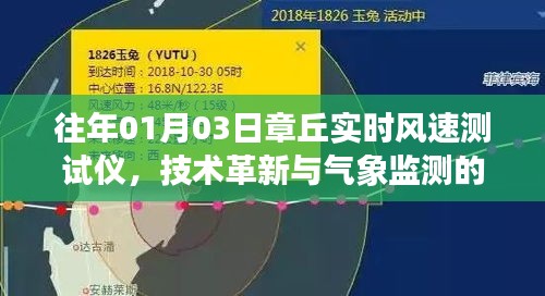 半截鸟木