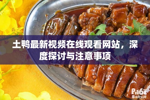 土鸭最新视频在线观看网站，深度探讨与注意事项