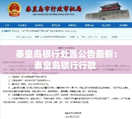 户外拓展 第8页