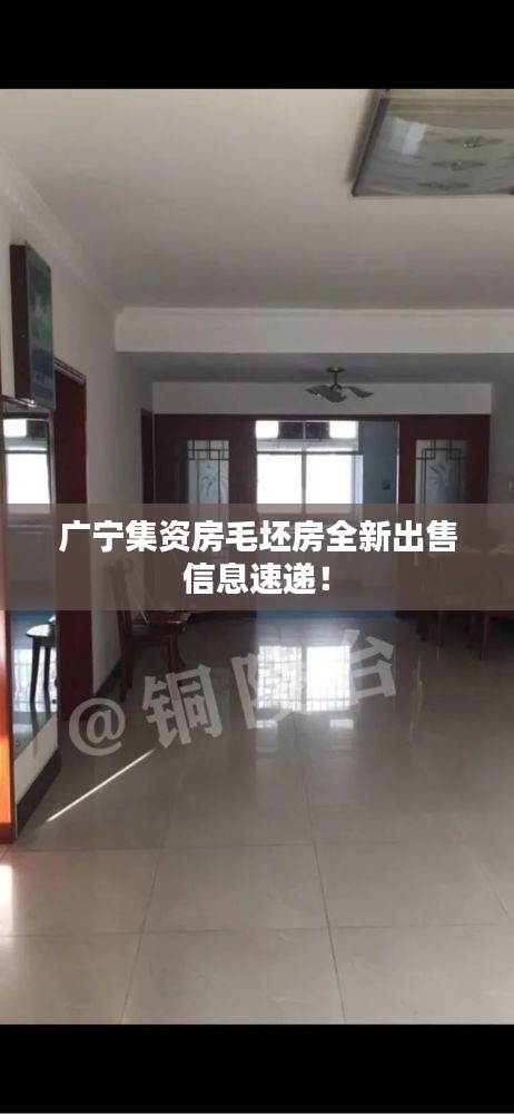 广宁集资房毛坯房全新出售信息速递！