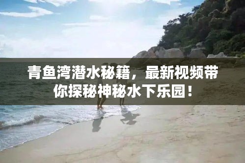 青鱼湾潜水秘籍，最新视频带你探秘神秘水下乐园！