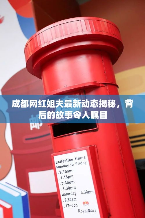 成都网红姐夫最新动态揭秘，背后的故事令人瞩目