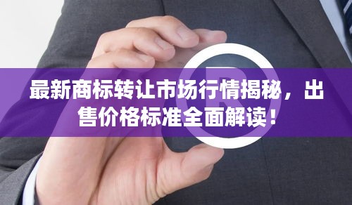 衣不兼采