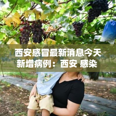 西安感冒最新消息今天新增病例：西安 感染 
