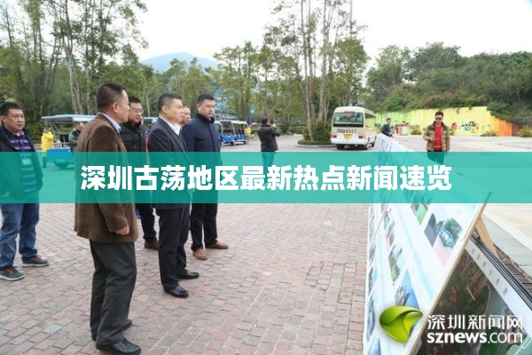 深圳古荡地区最新热点新闻速览