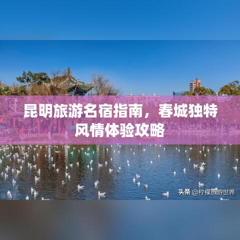 昆明旅游名宿指南，春城独特风情体验攻略