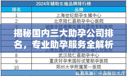 揭秘国内三大助孕公司排名，专业助孕服务全解析！