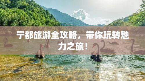 宁都旅游全攻略，带你玩转魅力之旅！