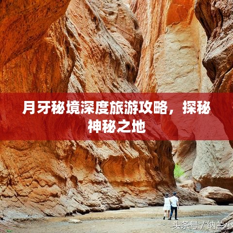 一丝不苟
