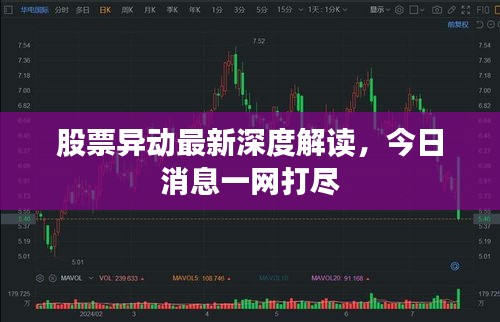 股票异动最新深度解读，今日消息一网打尽