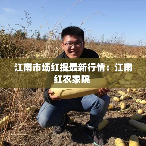 江南市场红提最新行情：江南红农家院 