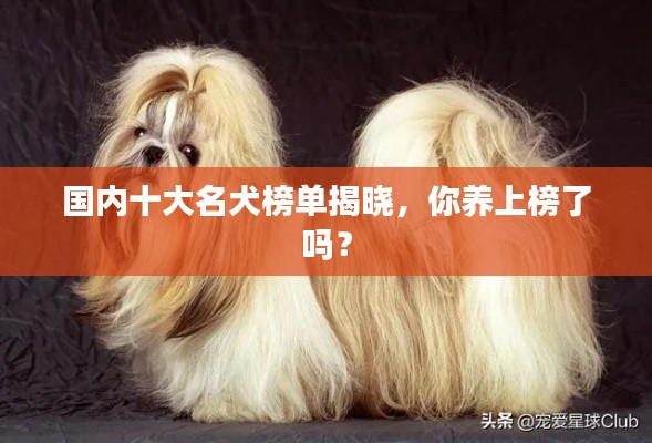 国内十大名犬榜单揭晓，你养上榜了吗？