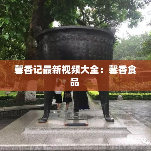 馨香记最新视频大全：馨香食品 