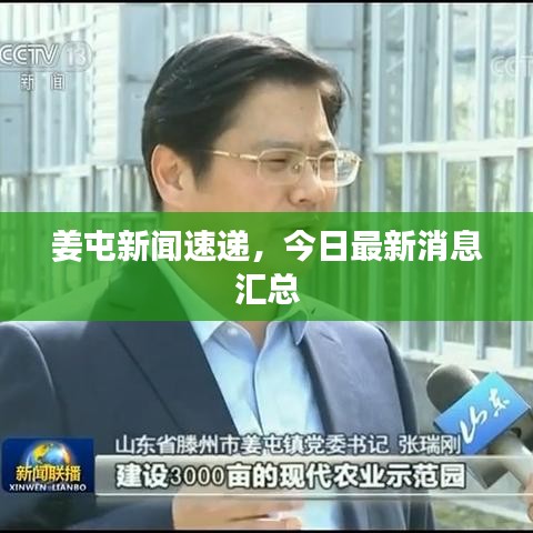 越鸟南栖