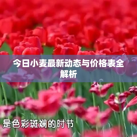 走进华剑 第4页