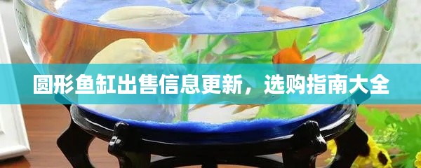 圆形鱼缸出售信息更新，选购指南大全