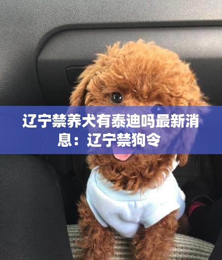 辽宁禁养犬有泰迪吗最新消息：辽宁禁狗令 