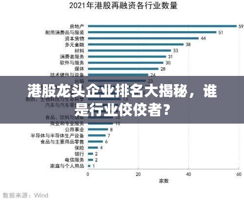 港股龙头企业排名大揭秘，谁是行业佼佼者？