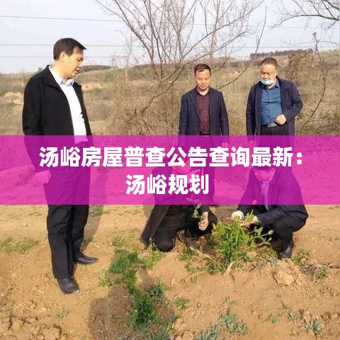 仙风道骨