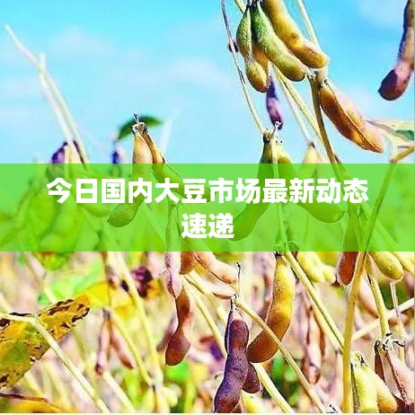 千辛万苦