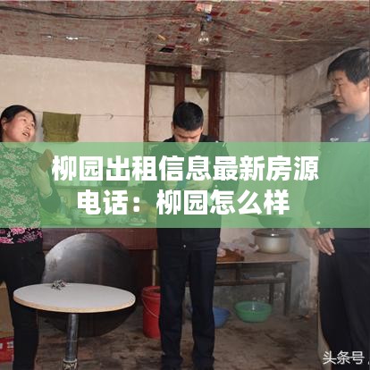 案例见证 第3页