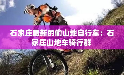 石家庄最新的偷山地自行车：石家庄山地车骑行群 
