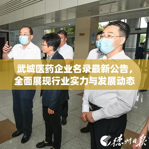 武城医药企业名录最新公告，全面展现行业实力与发展动态，引领健康产业前行