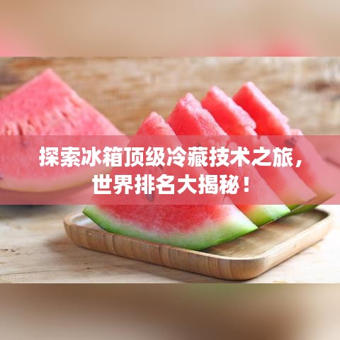 探索冰箱顶级冷藏技术之旅，世界排名大揭秘！