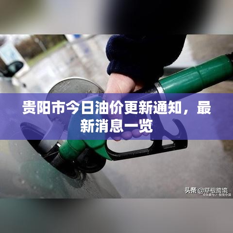贵阳市今日油价更新通知，最新消息一览