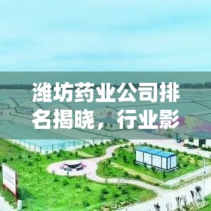 潍坊药业公司排名揭晓，行业影响力不容小觑