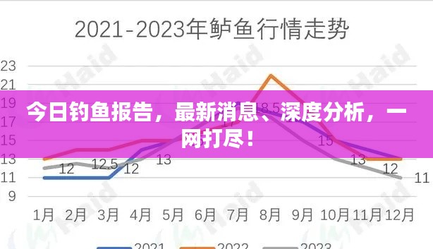 今日钓鱼报告，最新消息、深度分析，一网打尽！