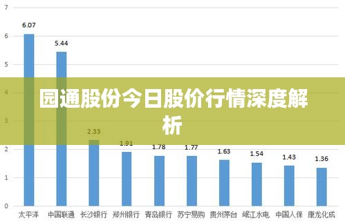 园通股份今日股价行情深度解析