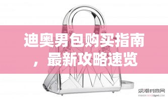 迪奥男包购买指南，最新攻略速览