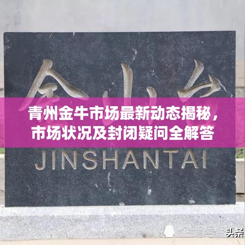 青州金牛市场最新动态揭秘，市场状况及封闭疑问全解答