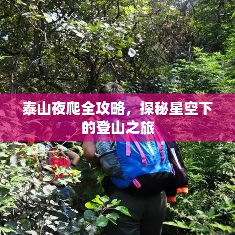 泰山夜爬全攻略，探秘星空下的登山之旅