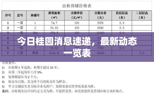 今日桂园消息速递，最新动态一览表