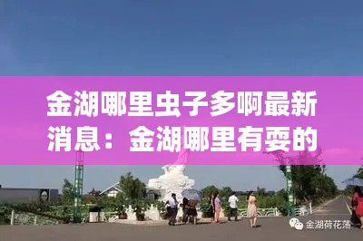 金湖哪里虫子多啊最新消息：金湖哪里有耍的地方 