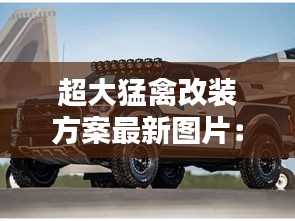 超大猛禽改装方案最新图片：大型猛禽有哪些 