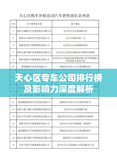 天心区专车公司排行榜及影响力深度解析